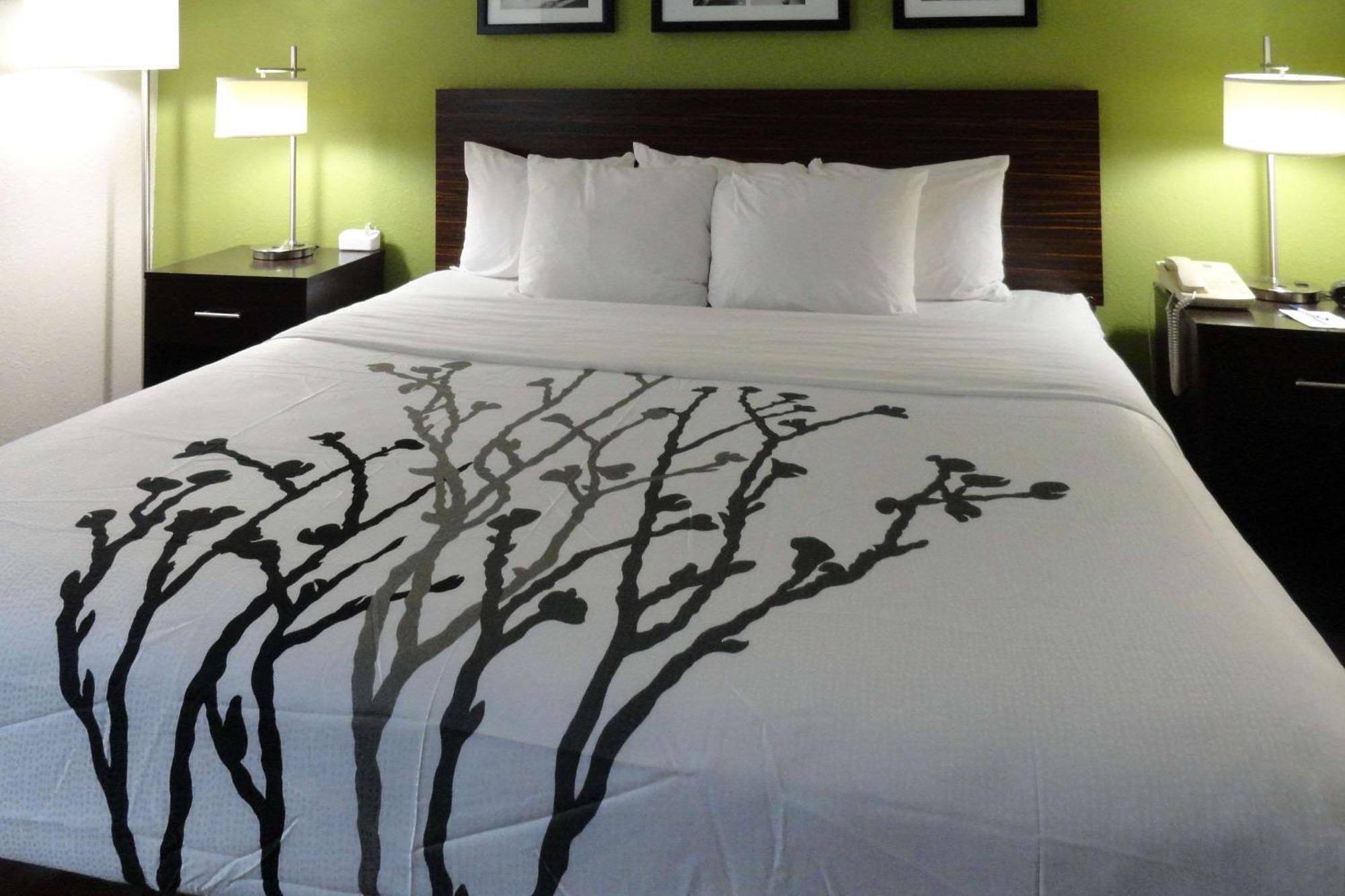 Sleep Inn & Suites Near Columbus - State University Area Luaran gambar